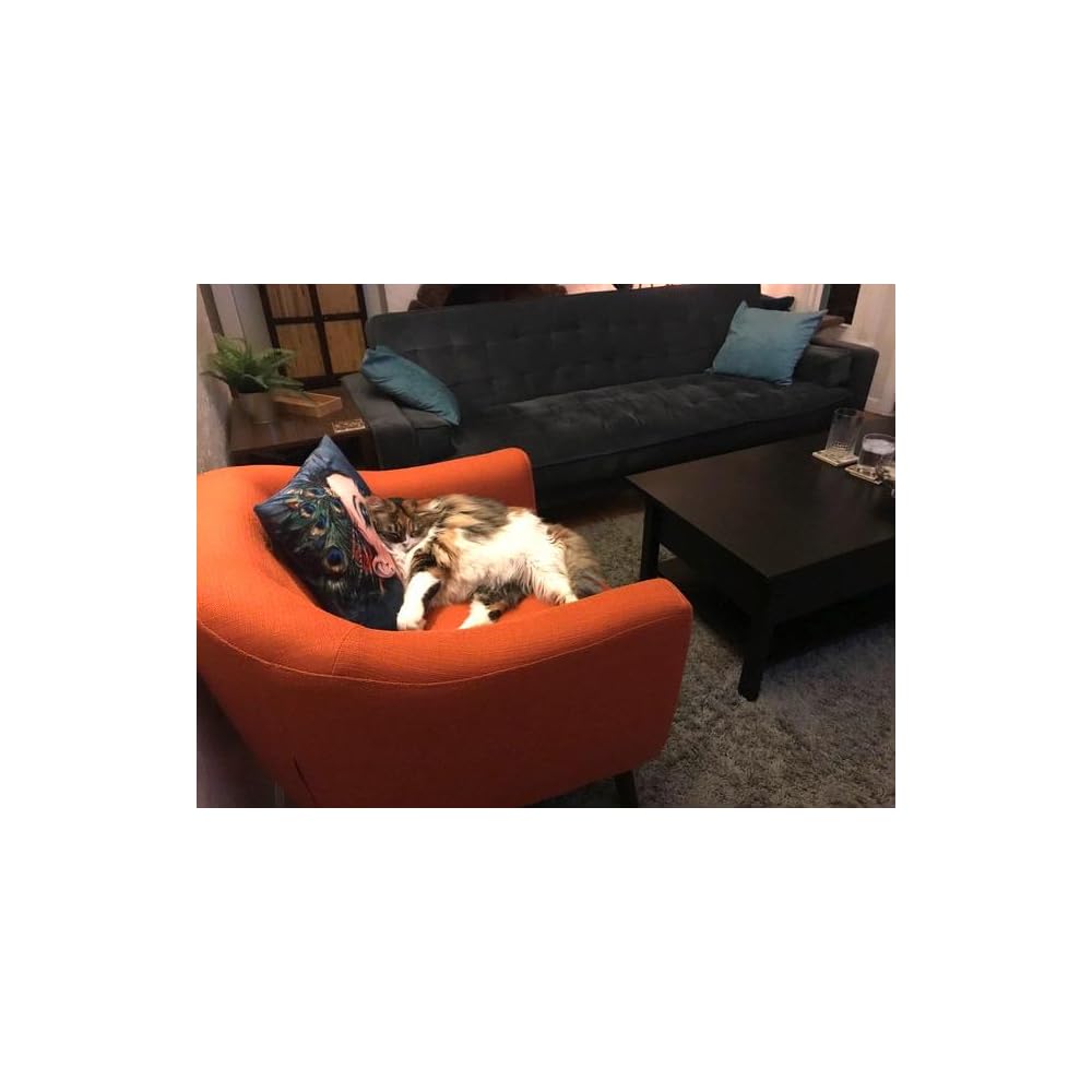 Homelegance Lucille Modern Accent Chair, Upholstered Reading Chair with Button-Tufted Back, Sloped Arms, Removable Seat Cushion Cover and Espresso Wood Legs, for Living Room, Bedroom or Office, Orange