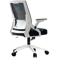 Student Dormitory Lifting Swivel Chair Learning Backrest Household Office